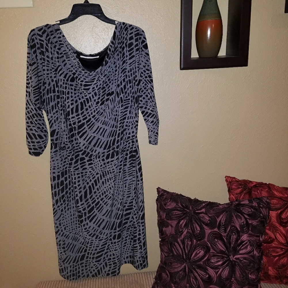 Worn Once Evan Picone Dress